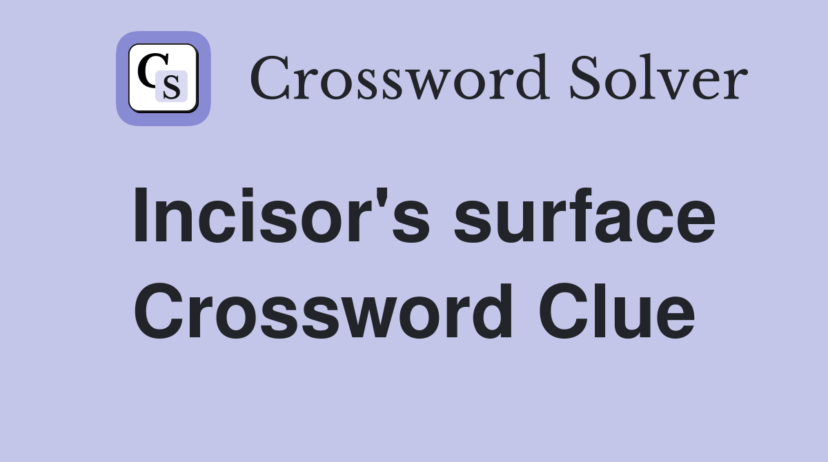 Incisor's surface Crossword Clue