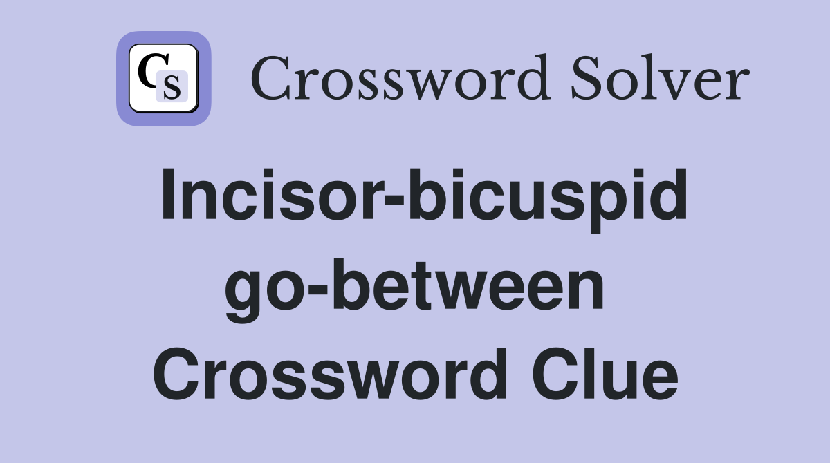 Incisor-bicuspid go-between Crossword Clue