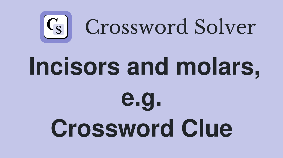 Incisors and molars, e.g. Crossword Clue