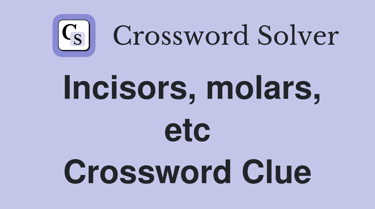 Incisors, molars, etc Crossword Clue