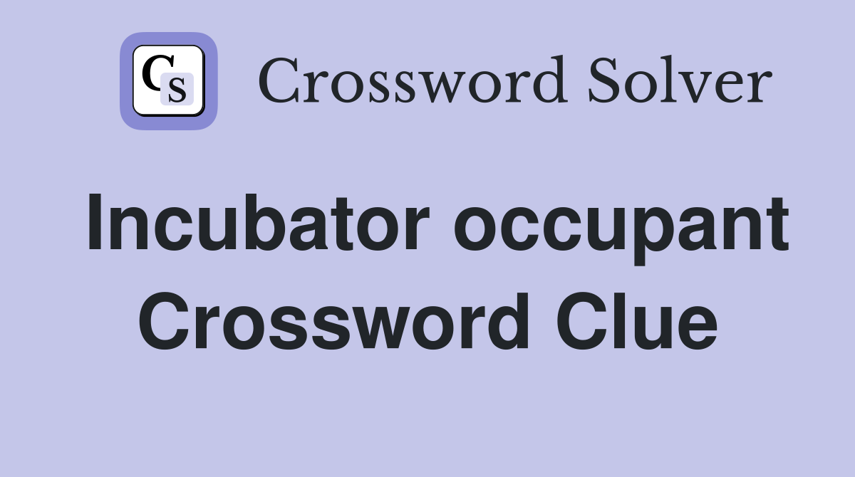 Incubator occupant Crossword Clue