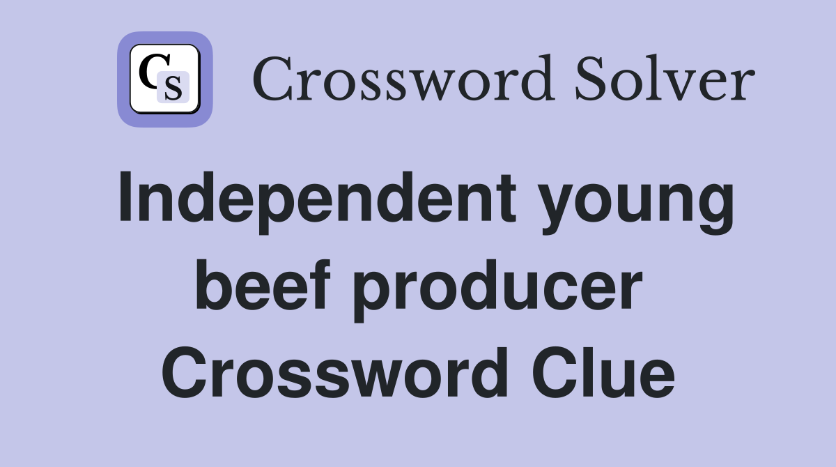 Independent young beef producer Crossword Clue