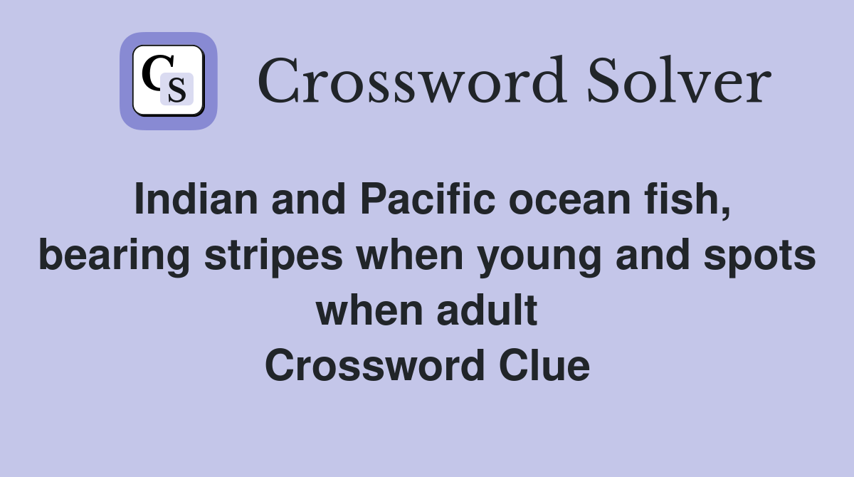 Indian and Pacific ocean fish, bearing stripes when young and spots when adult Crossword Clue