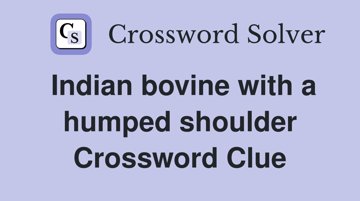 Indian bovine with a humped shoulder Crossword Clue