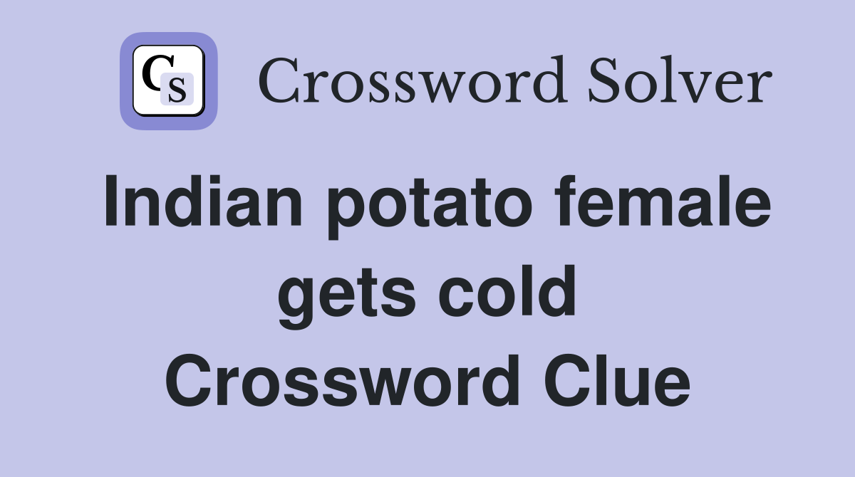 Indian potato female gets cold Crossword Clue