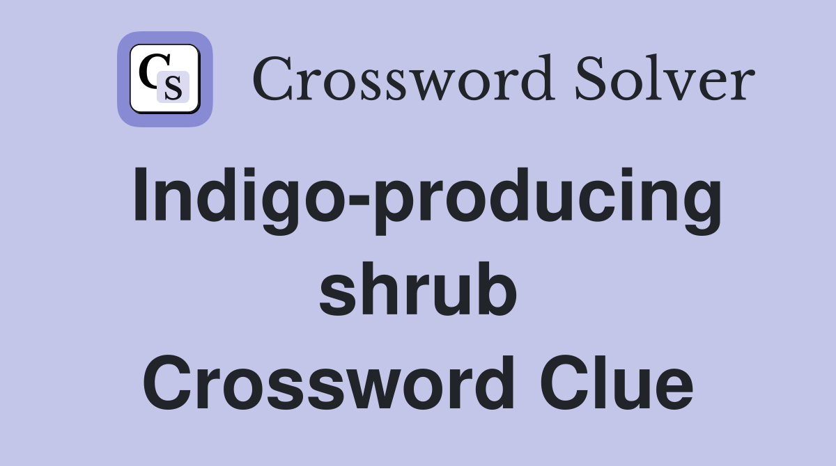 Indigo-producing shrub Crossword Clue