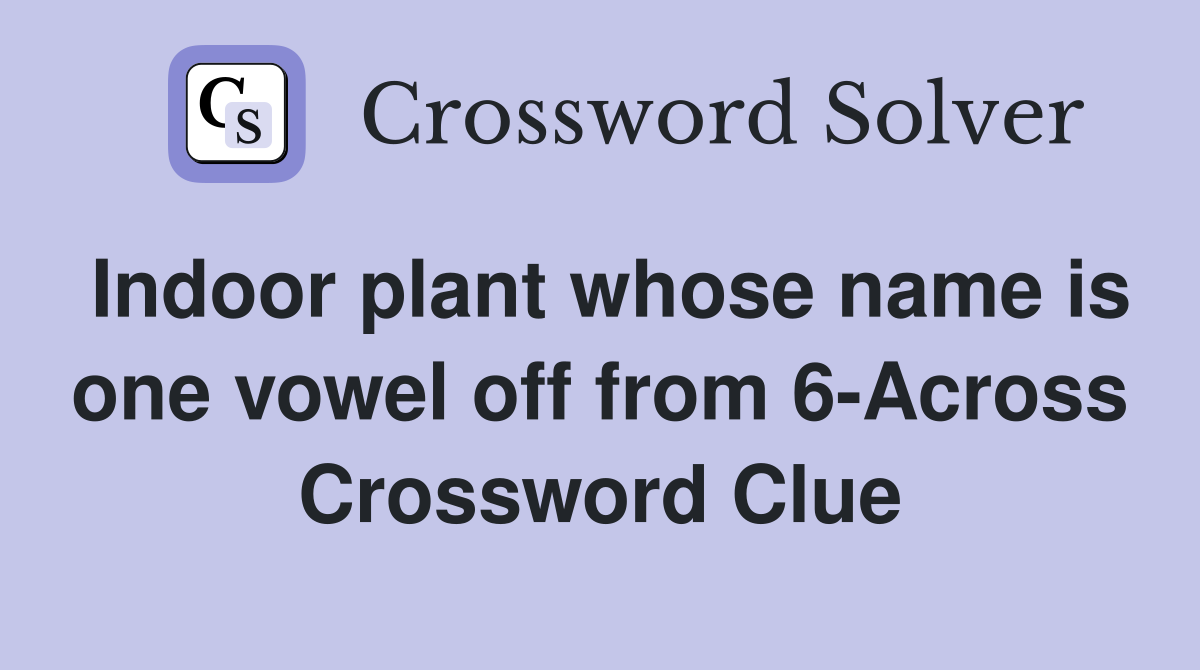 Indoor plant whose name is one vowel off from 6-Across Crossword Clue