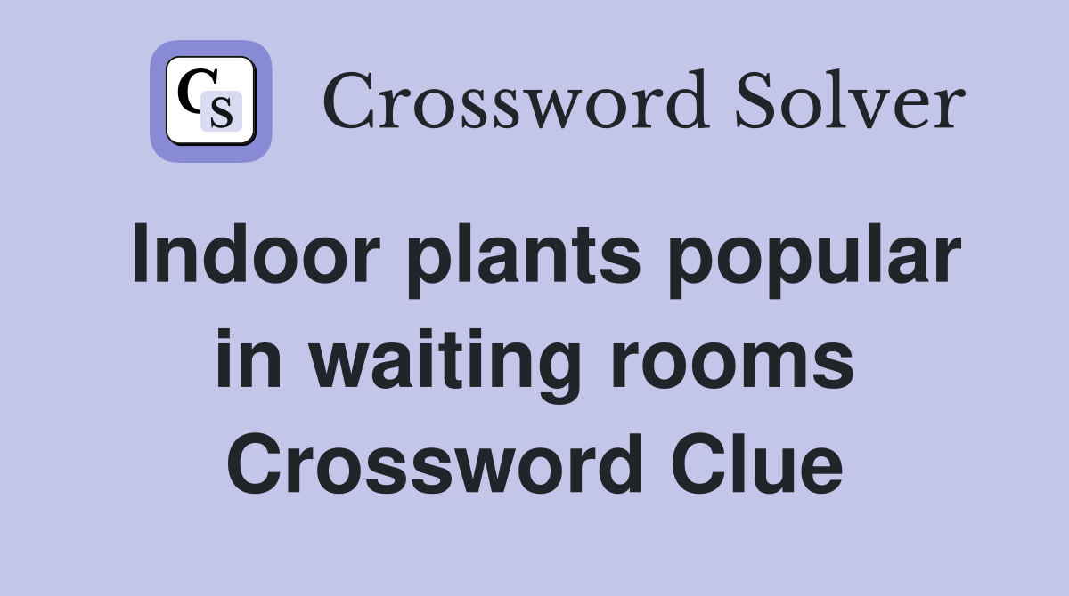 Indoor plants popular in waiting rooms Crossword Clue