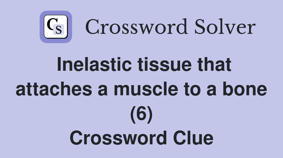 Inelastic tissue that attaches a muscle to a bone (6) Crossword Clue