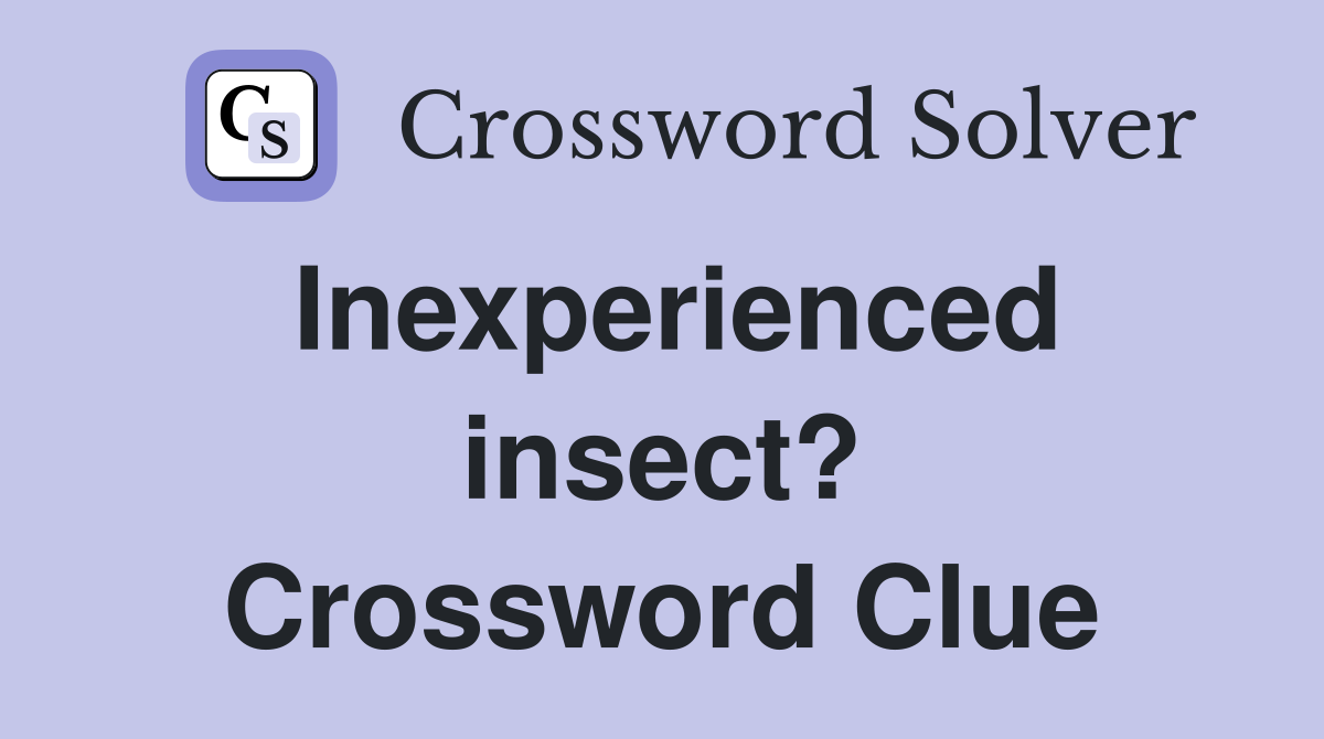 Inexperienced insect? Crossword Clue