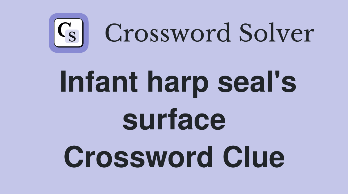 Infant harp seal's surface Crossword Clue
