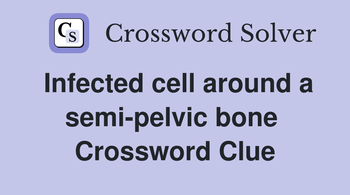 Infected cell around a semi-pelvic bone  Crossword Clue