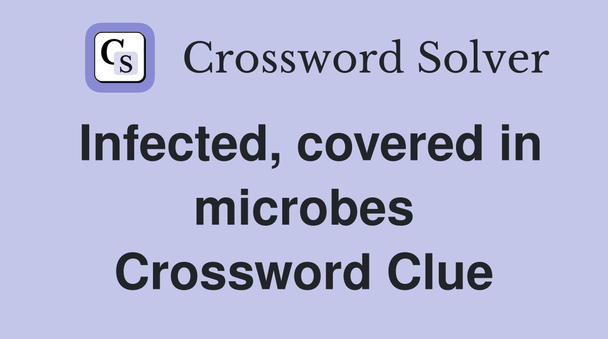 Infected, covered in microbes Crossword Clue