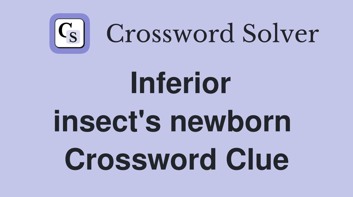 Inferior insect's newborn  Crossword Clue