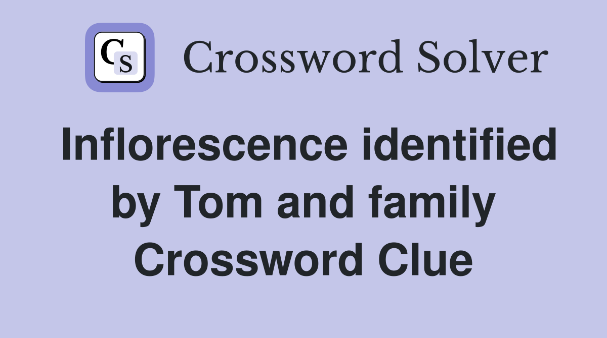 Inflorescence identified by Tom and family Crossword Clue