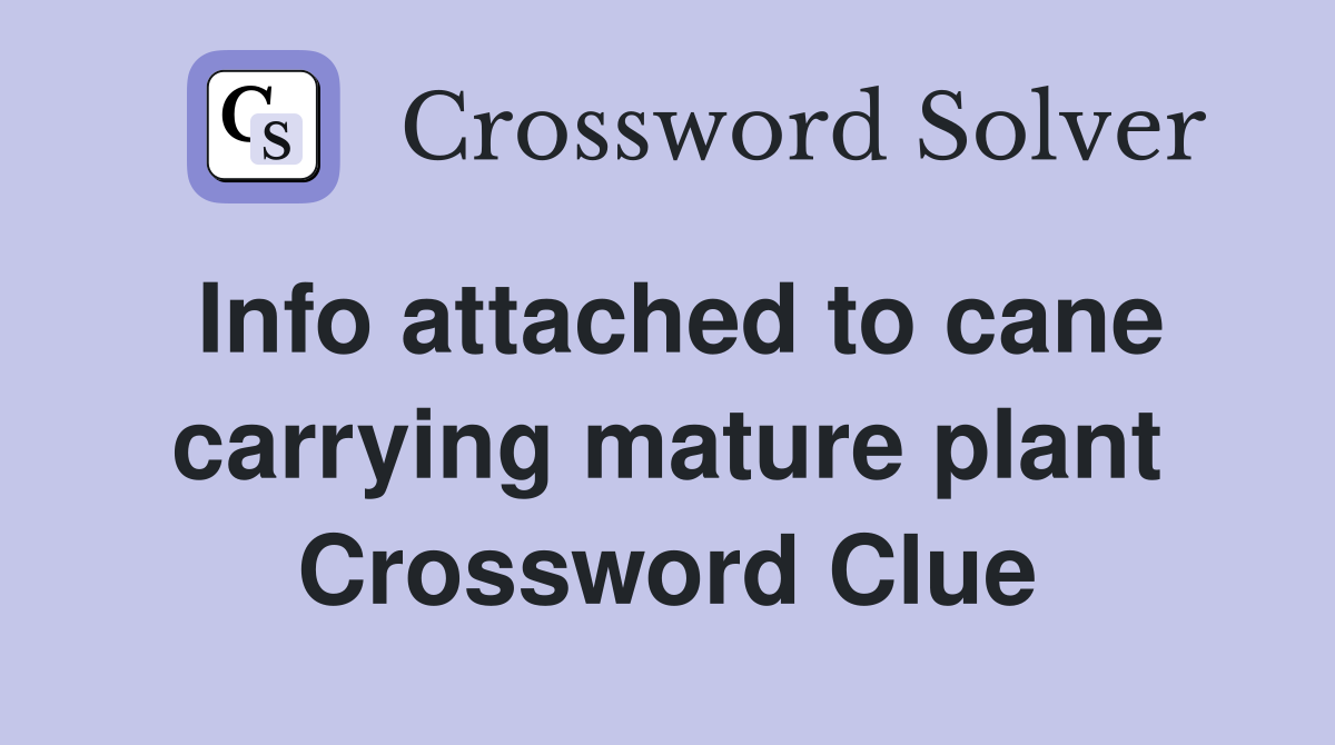 Info attached to cane carrying mature plant Crossword Clue
