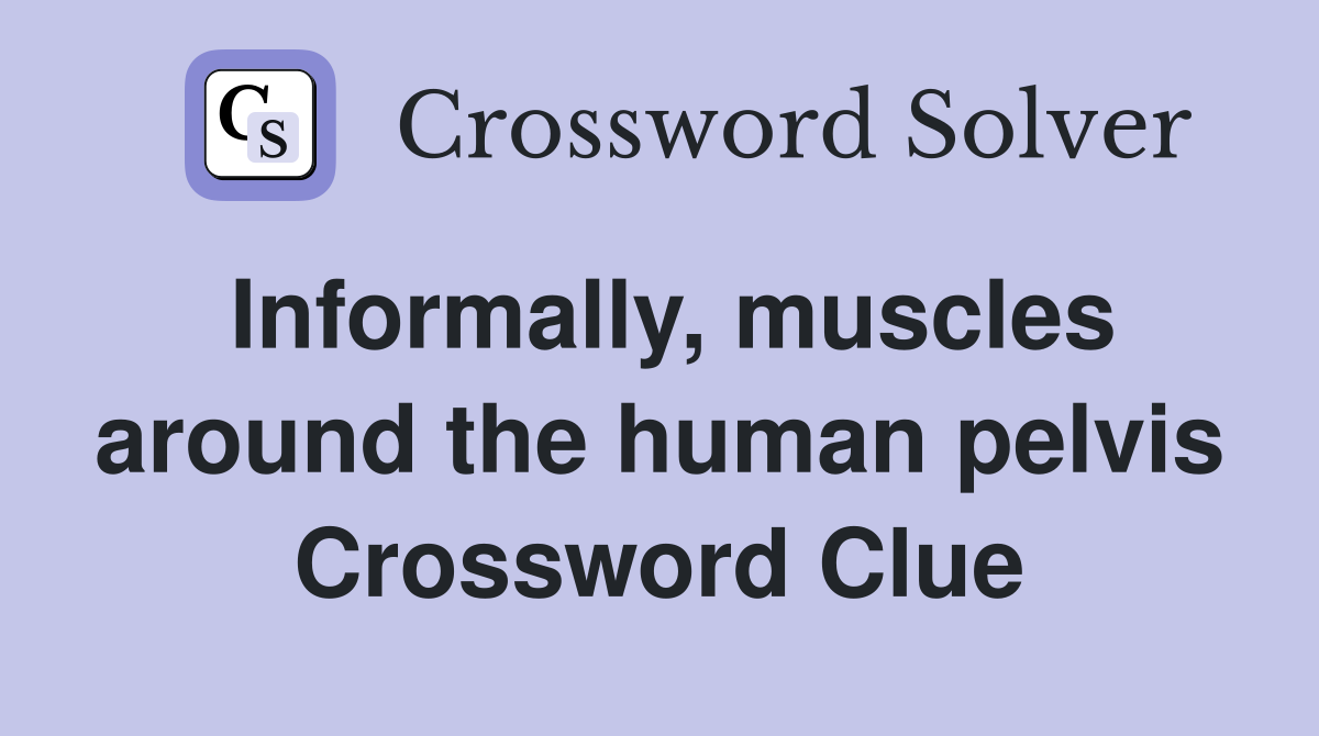 Informally, muscles around the human pelvis Crossword Clue