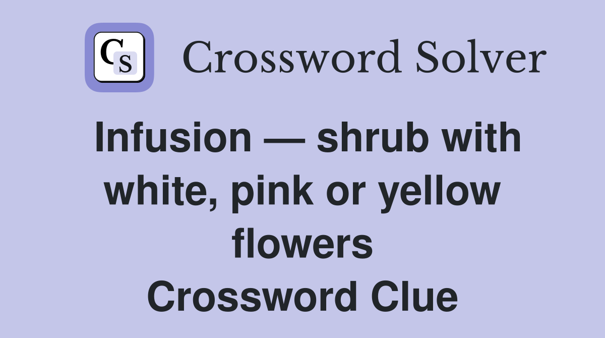 Infusion — shrub with white, pink or yellow flowers Crossword Clue