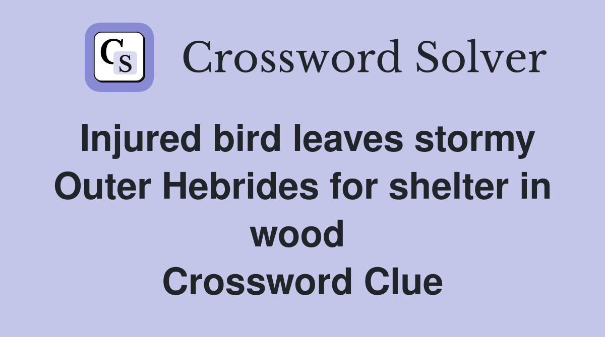 Injured bird leaves stormy Outer Hebrides for shelter in wood  Crossword Clue