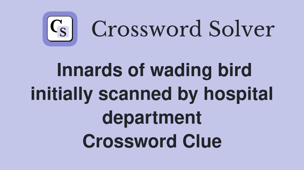 Innards of wading bird initially scanned by hospital department Crossword Clue