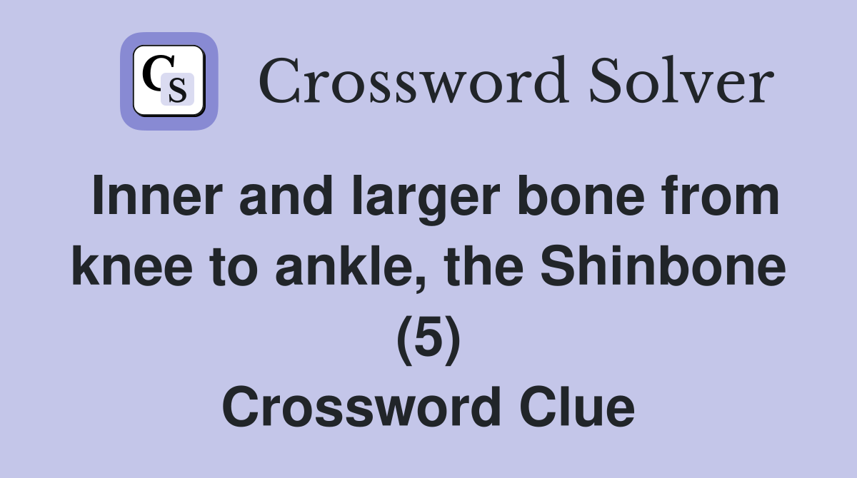 Inner and larger bone from knee to ankle, the Shinbone (5) Crossword Clue