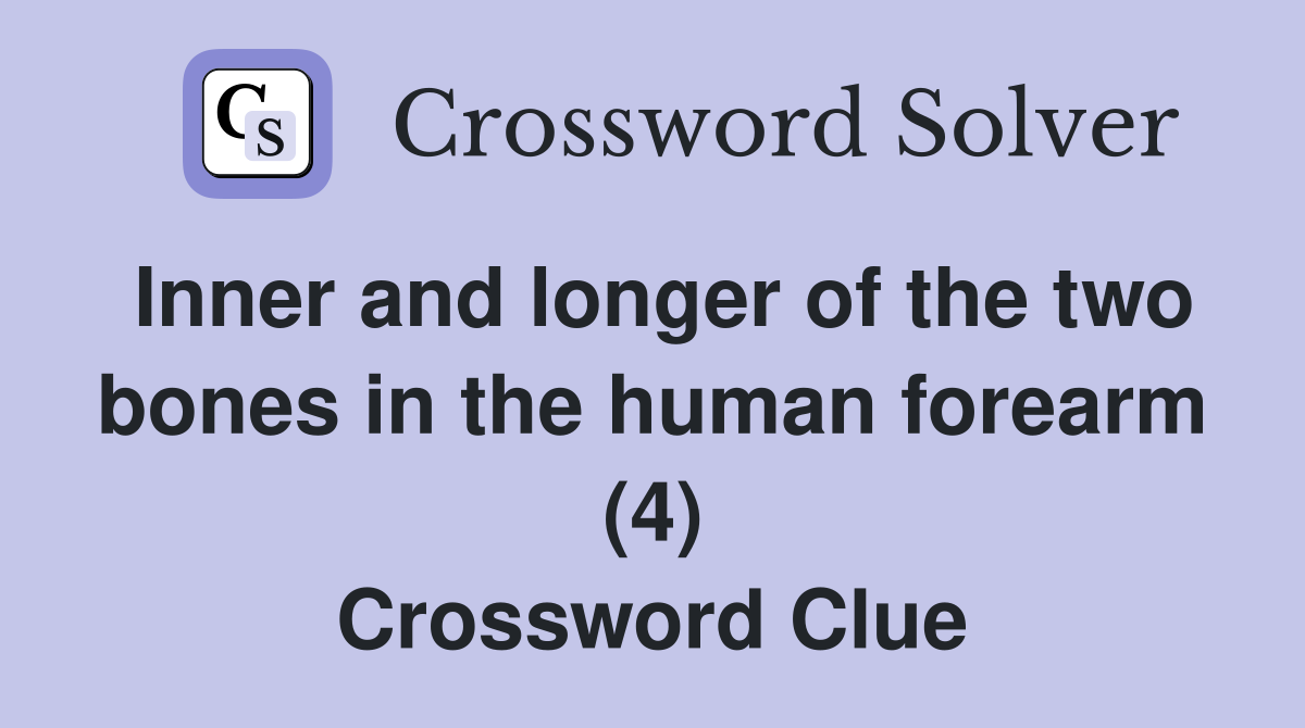 Inner and longer of the two bones in the human forearm (4) Crossword Clue