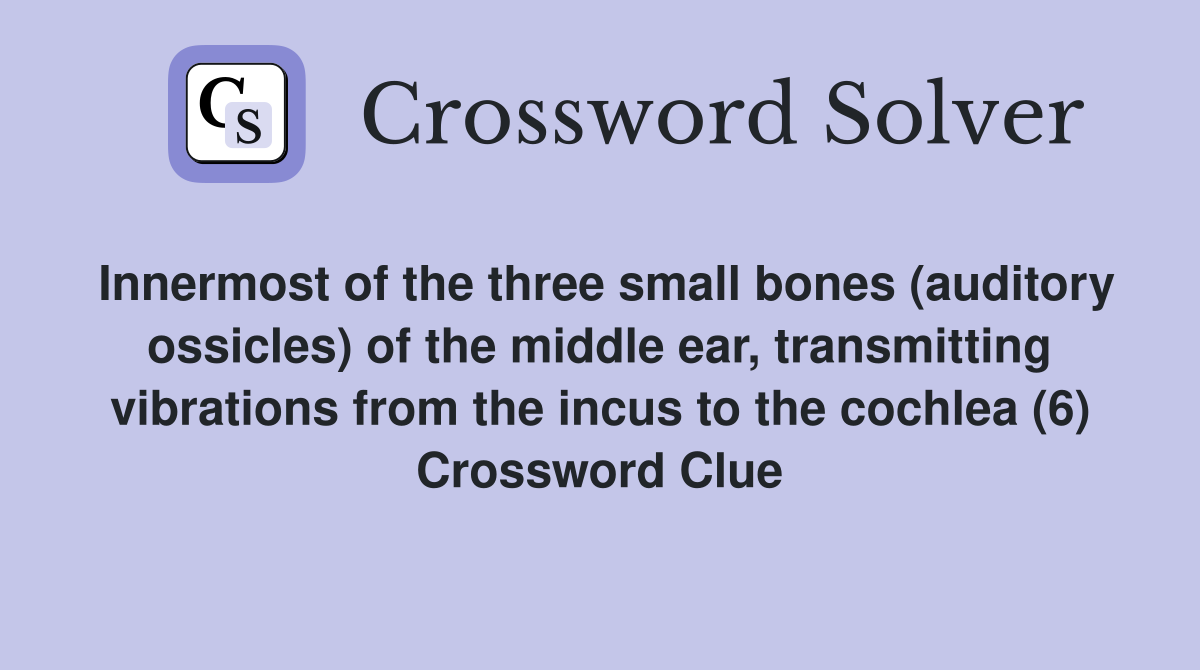 Innermost of the three small bones (auditory ossicles) of the middle ear, transmitting vibrations from the incus to the cochlea (6) Crossword Clue