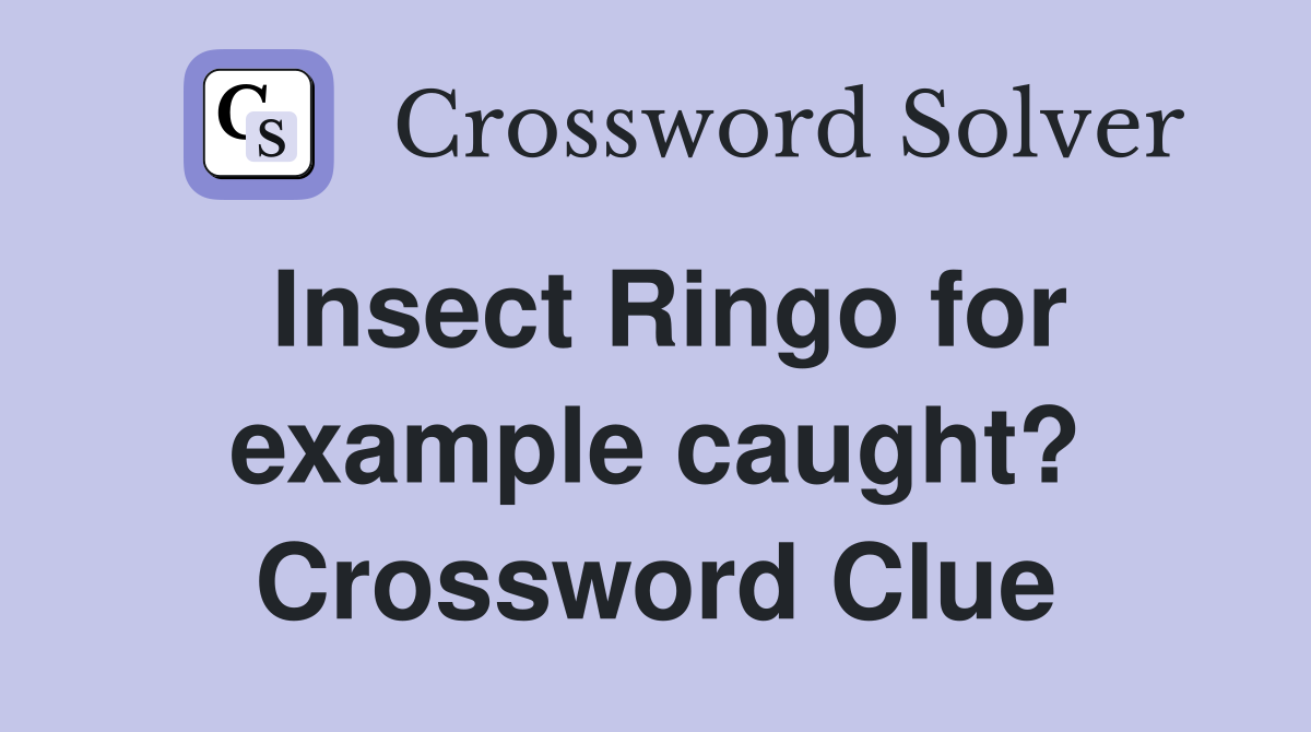 Insect Ringo for example caught? Crossword Clue