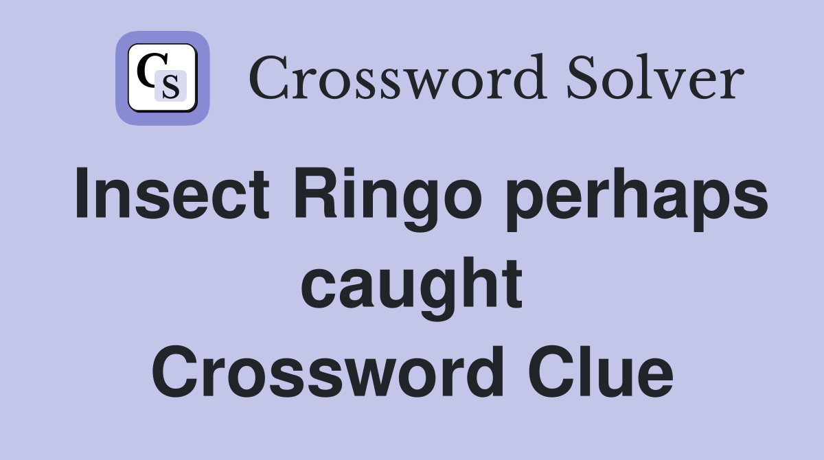 Insect Ringo perhaps caught Crossword Clue