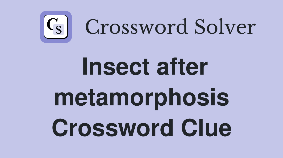 Insect after metamorphosis Crossword Clue
