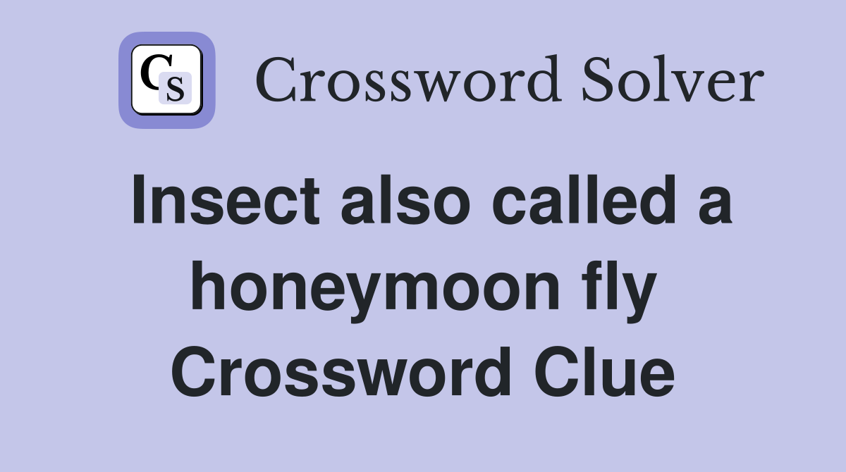 Insect also called a honeymoon fly Crossword Clue