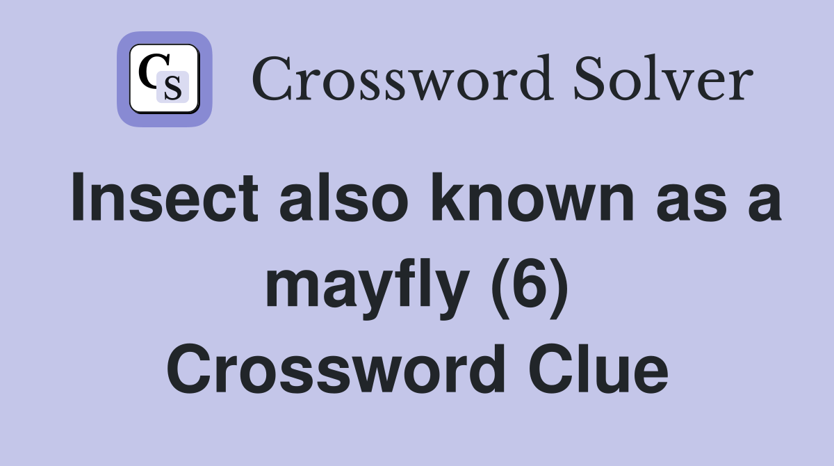 Insect also known as a mayfly (6) Crossword Clue