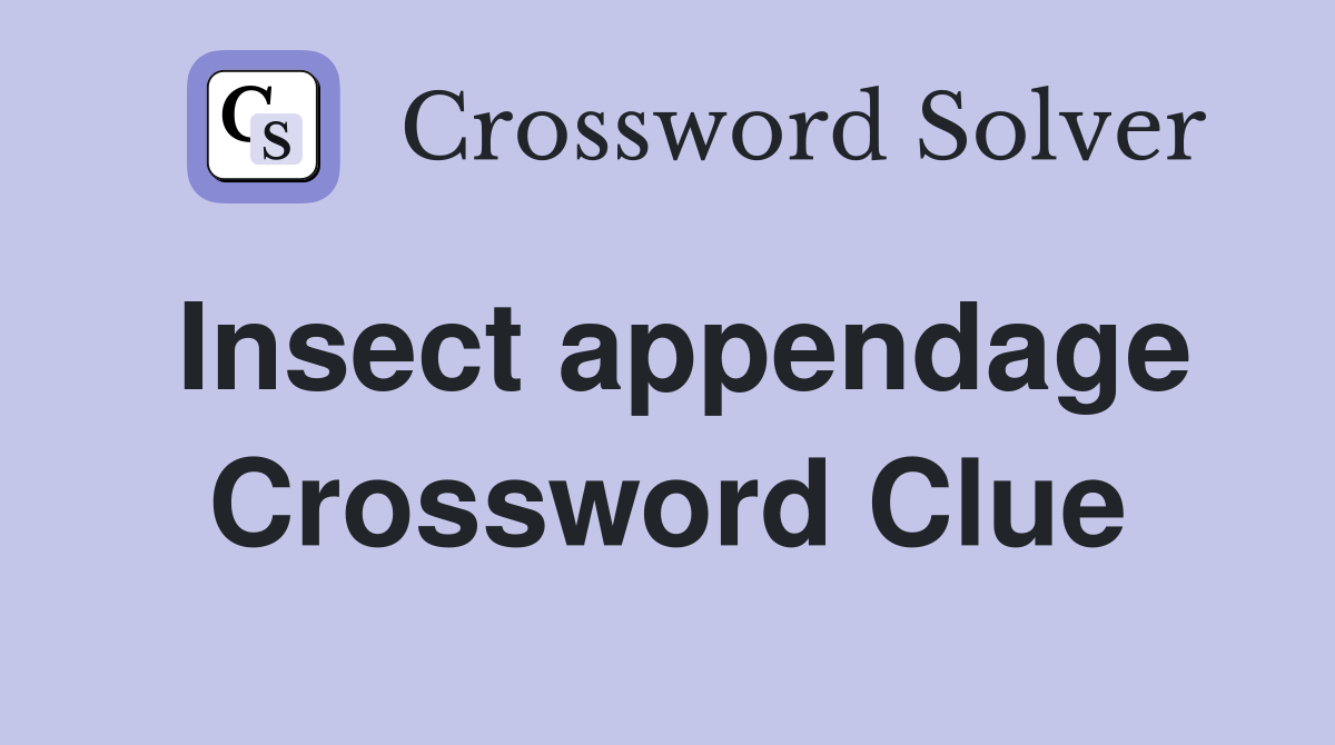 Insect appendage Crossword Clue