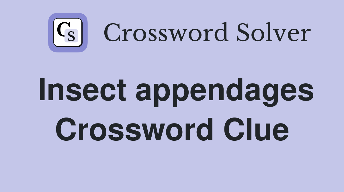 Insect appendages Crossword Clue