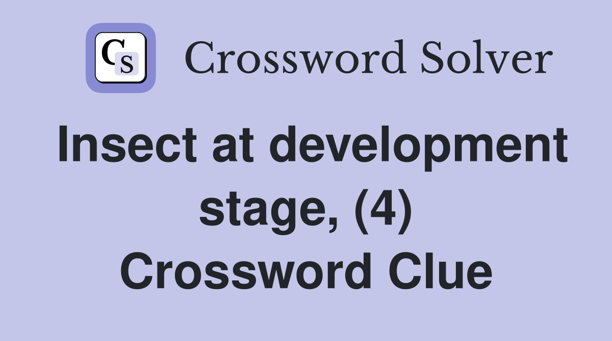 Insect at development stage, (4) Crossword Clue