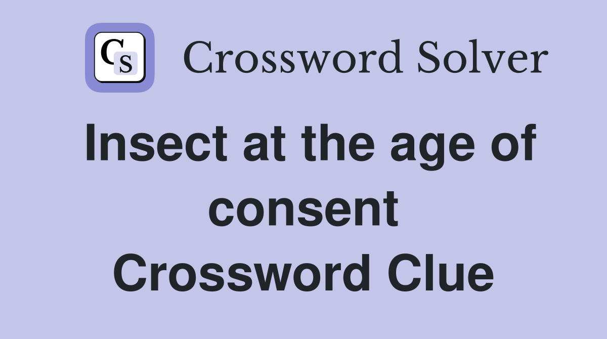 Insect at the age of consent Crossword Clue