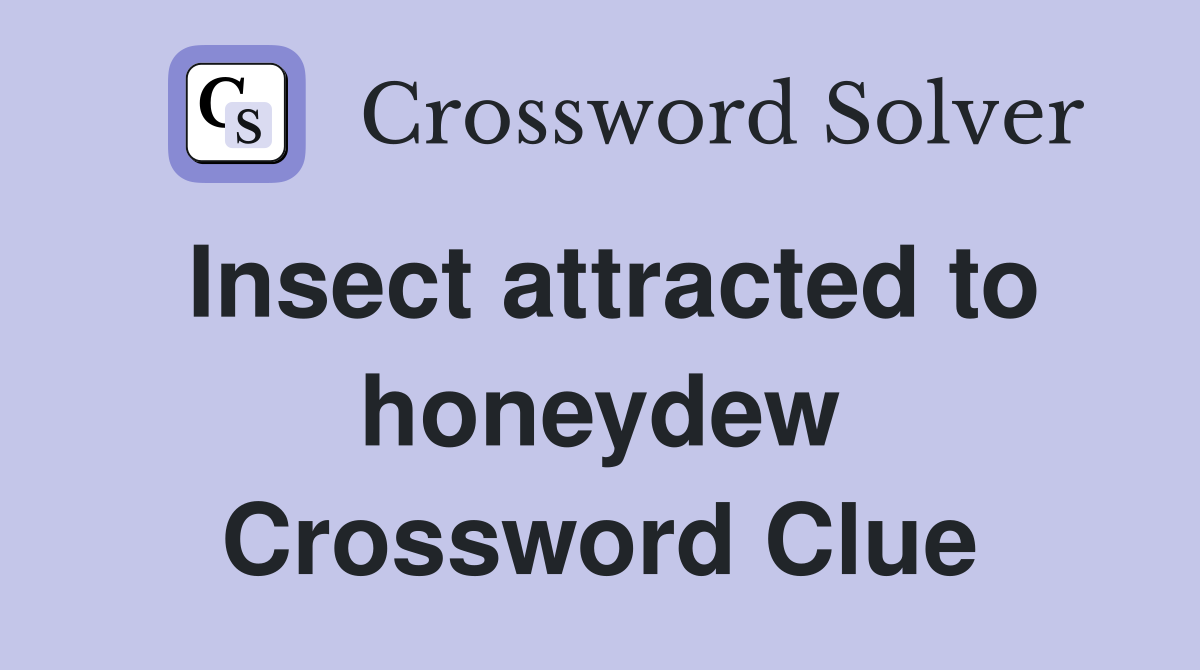 Insect attracted to honeydew Crossword Clue