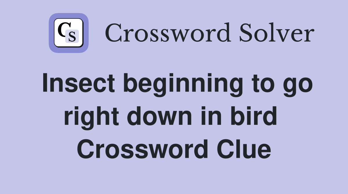Insect beginning to go right down in bird  Crossword Clue