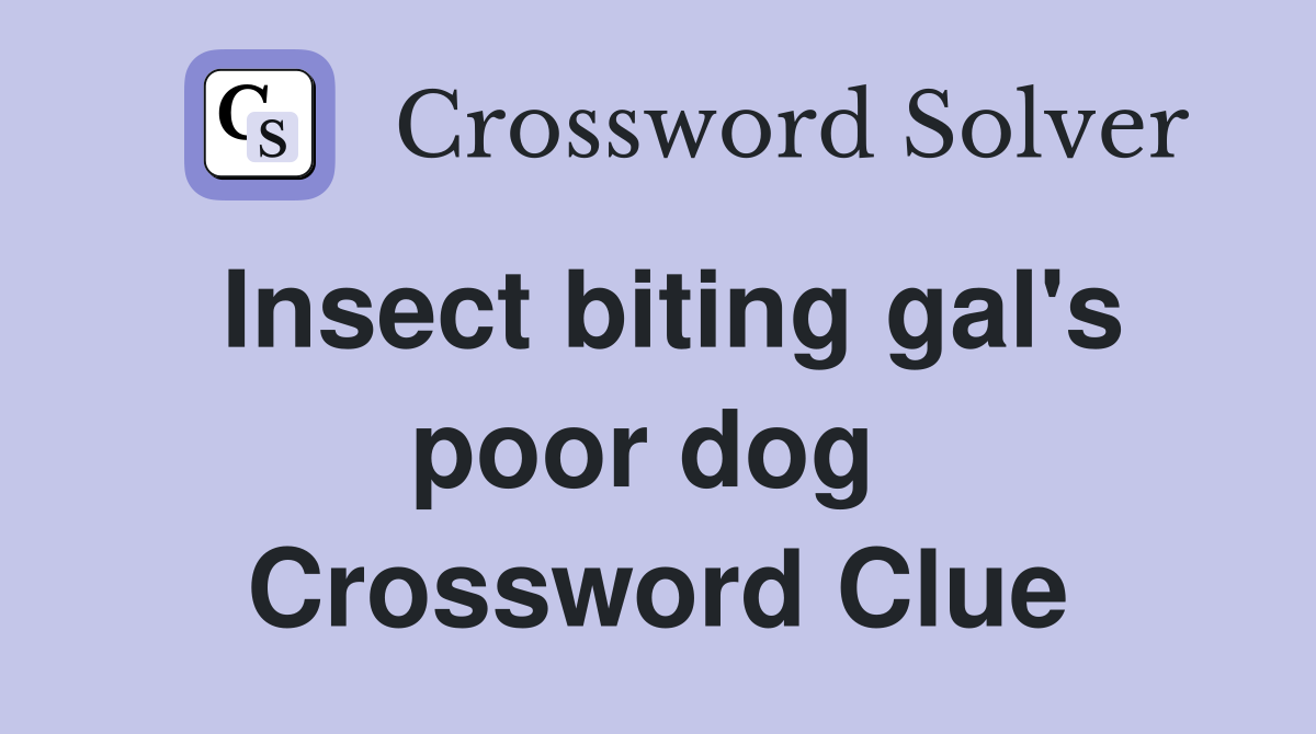 Insect biting gal's poor dog  Crossword Clue