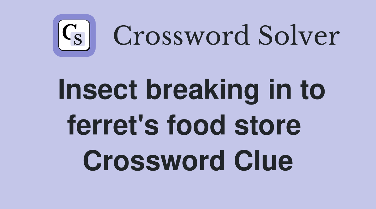Insect breaking in to ferret's food store  Crossword Clue