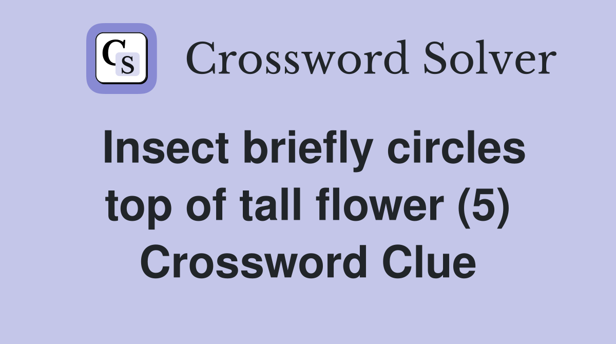 Insect briefly circles top of tall flower (5) Crossword Clue