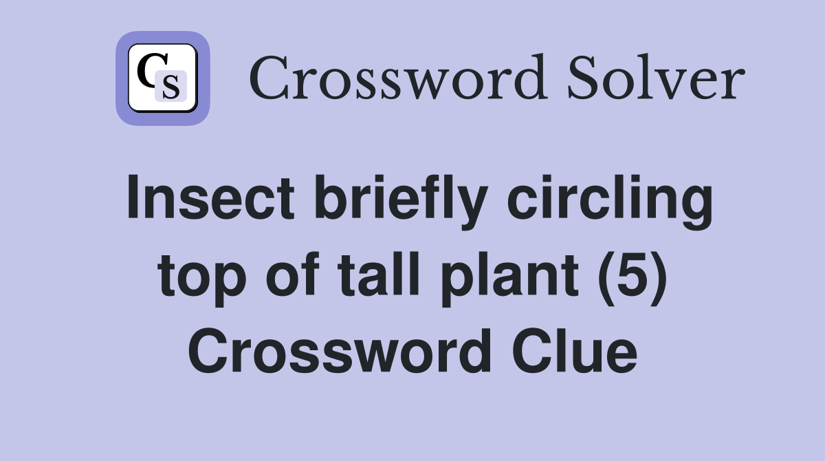 Insect briefly circling top of tall plant (5) Crossword Clue