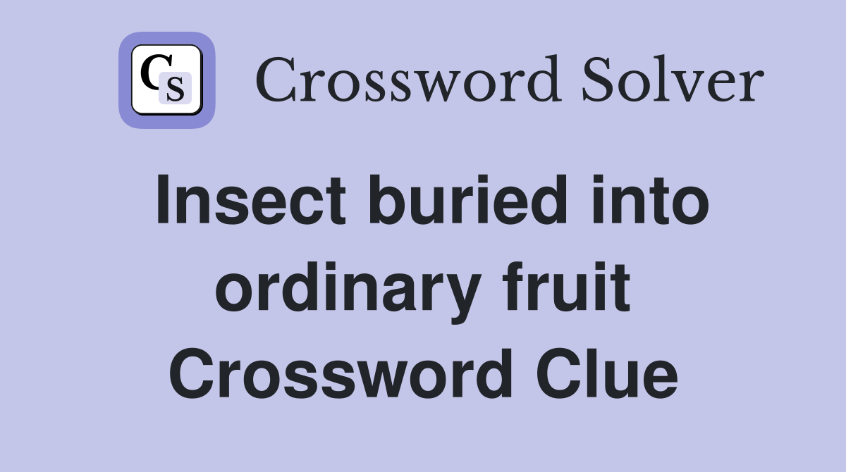 Insect buried into ordinary fruit Crossword Clue
