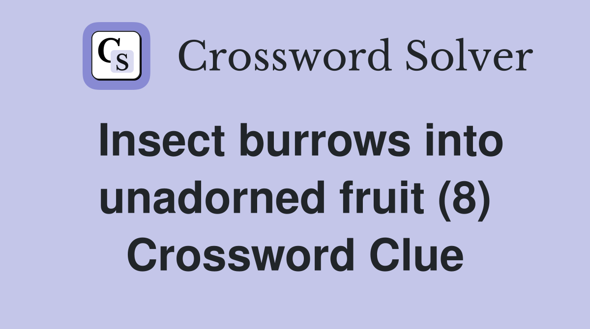 Insect burrows into unadorned fruit (8) Crossword Clue
