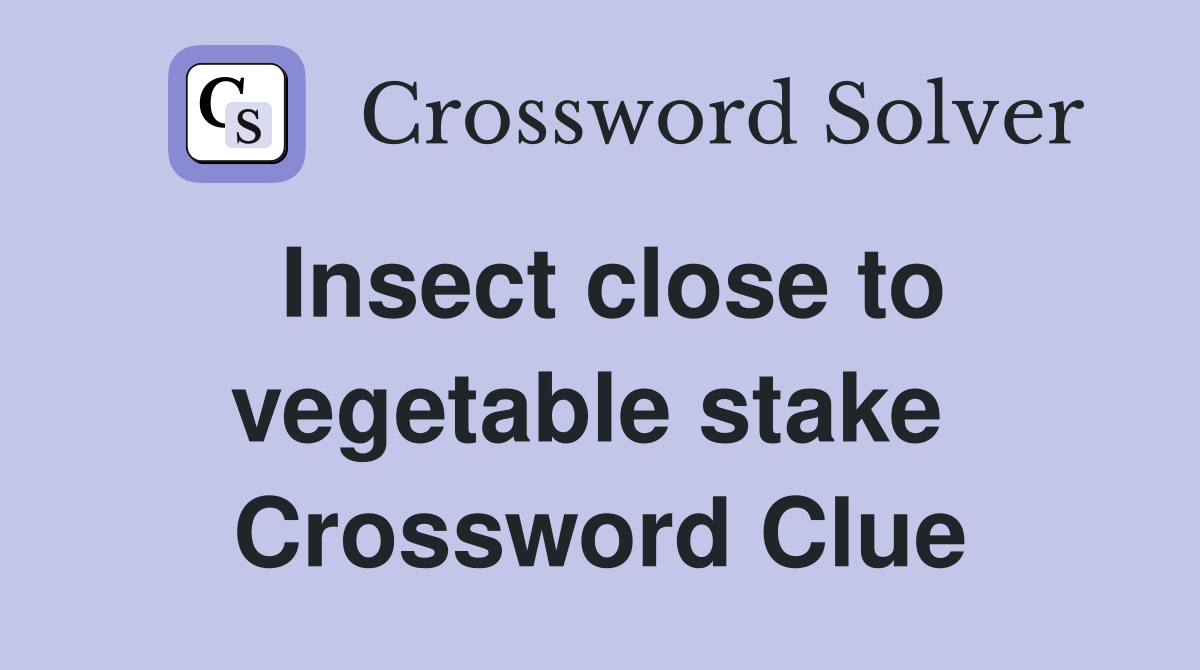 Insect close to vegetable stake  Crossword Clue