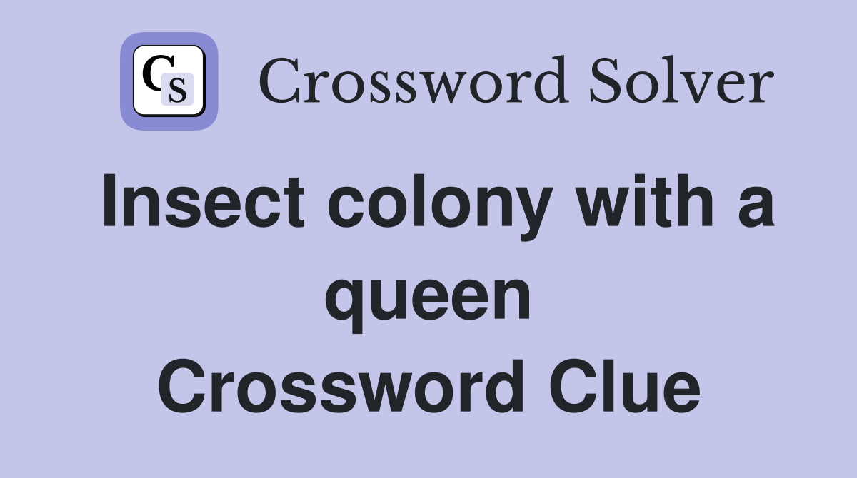 Insect colony with a queen Crossword Clue