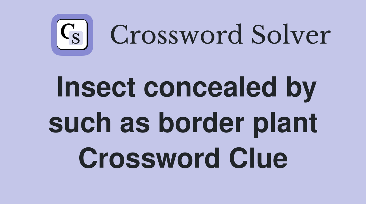 Insect concealed by such as border plant Crossword Clue