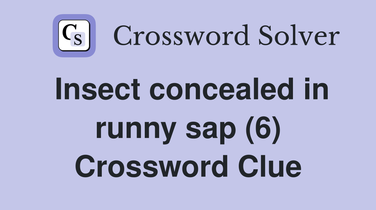 Insect concealed in runny sap (6) Crossword Clue