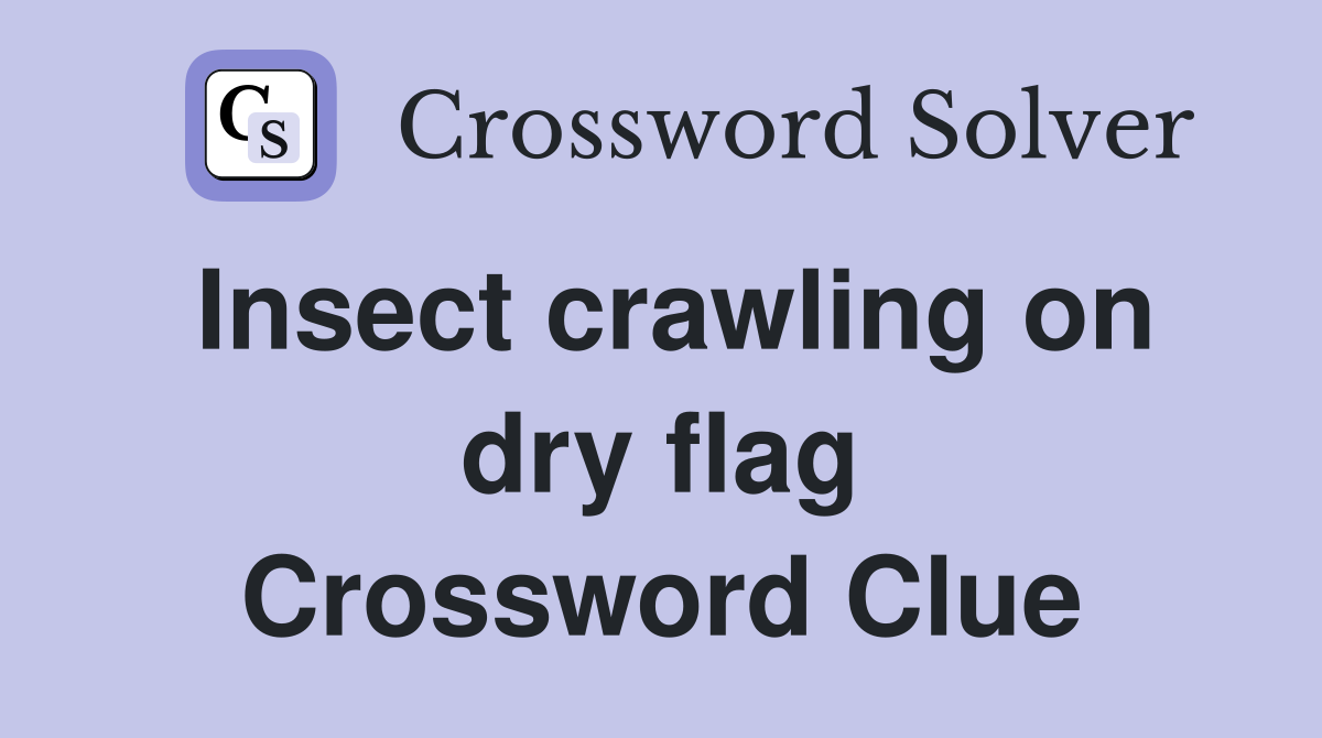 Insect crawling on dry flag Crossword Clue