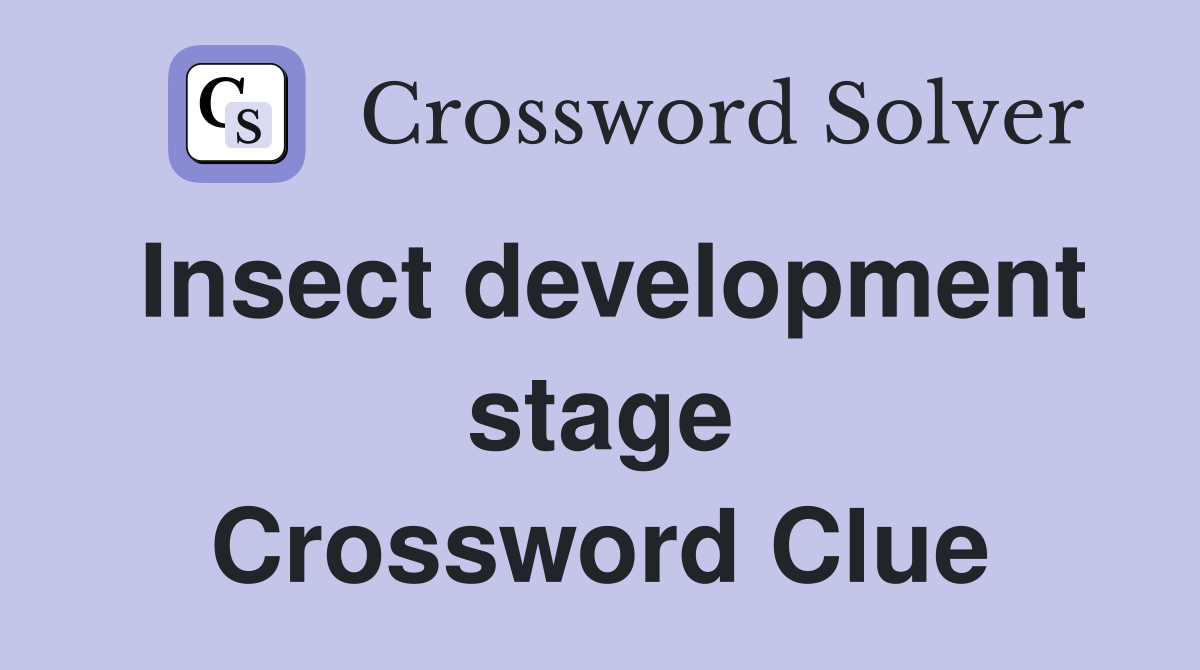 Insect development stage Crossword Clue